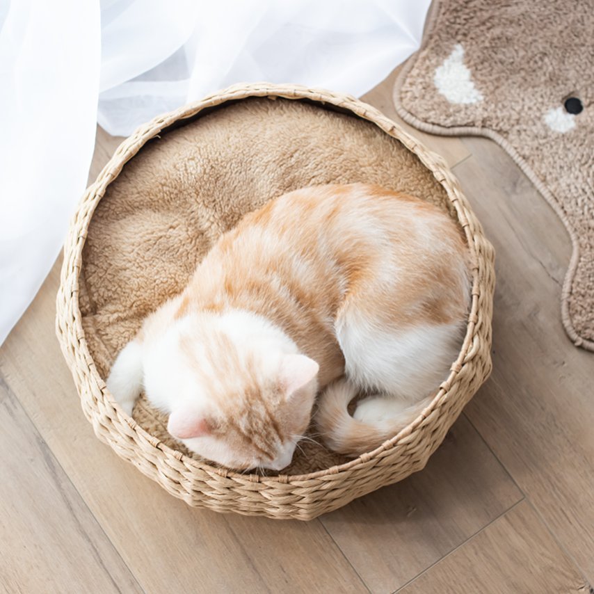 Cozy Nest Handwoven Luxury Cat Bed for Indoor Cats