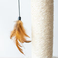 Load image into Gallery viewer, Walk Up Handwoven Cat Tree and Scratcher for Indoor Cats
