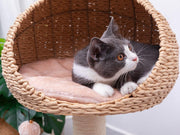 Lookout Natural Handwoven Cat Tree