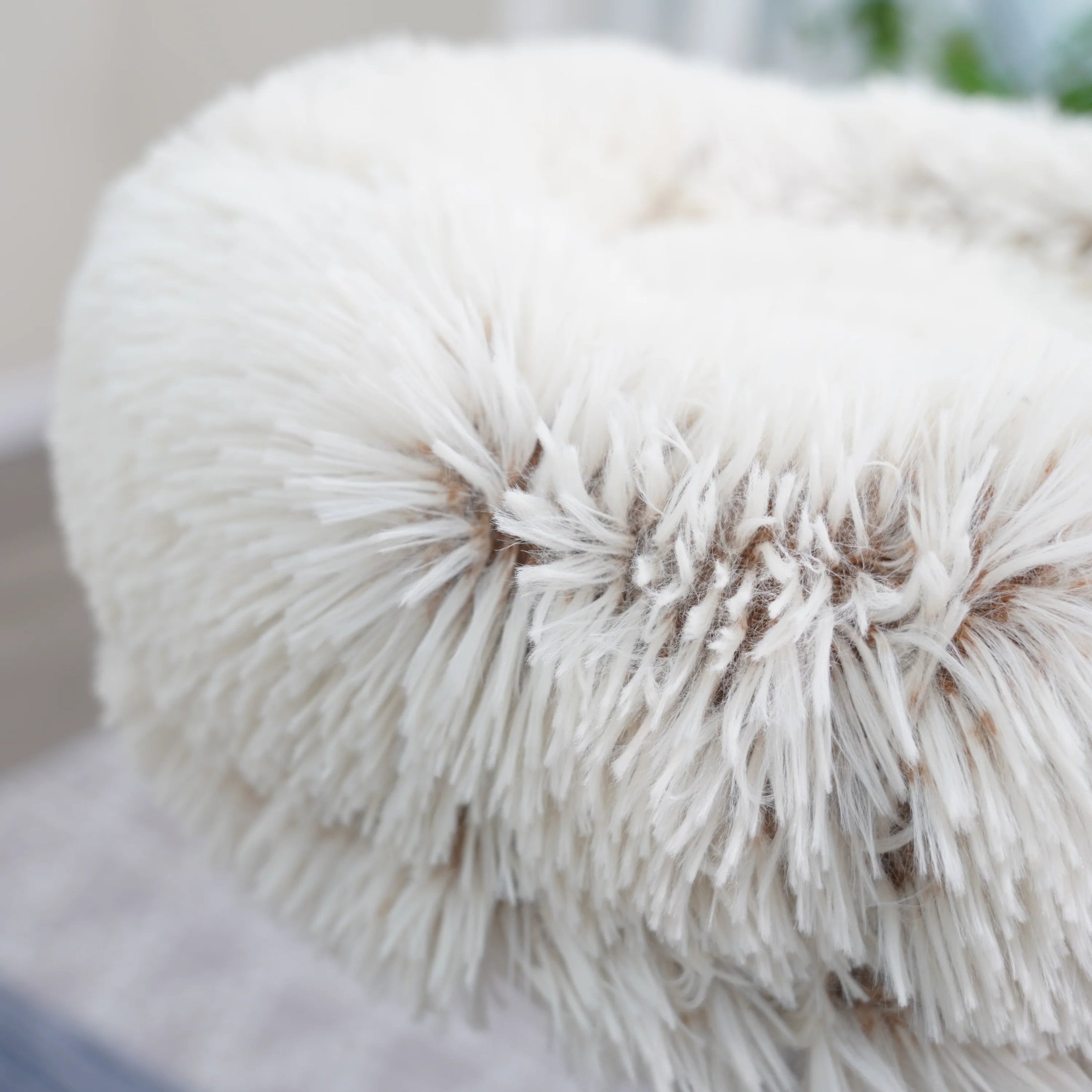 Cullen Mid Century Modern Cat Tree and Scratcher for Indoor Cats