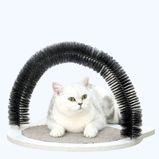 Nifty Cat Scratcher Toy for Indoor Cats