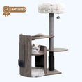 Load image into Gallery viewer, Cullen Mid Century Modern Cat Tree and Scratcher for Indoor Cats
