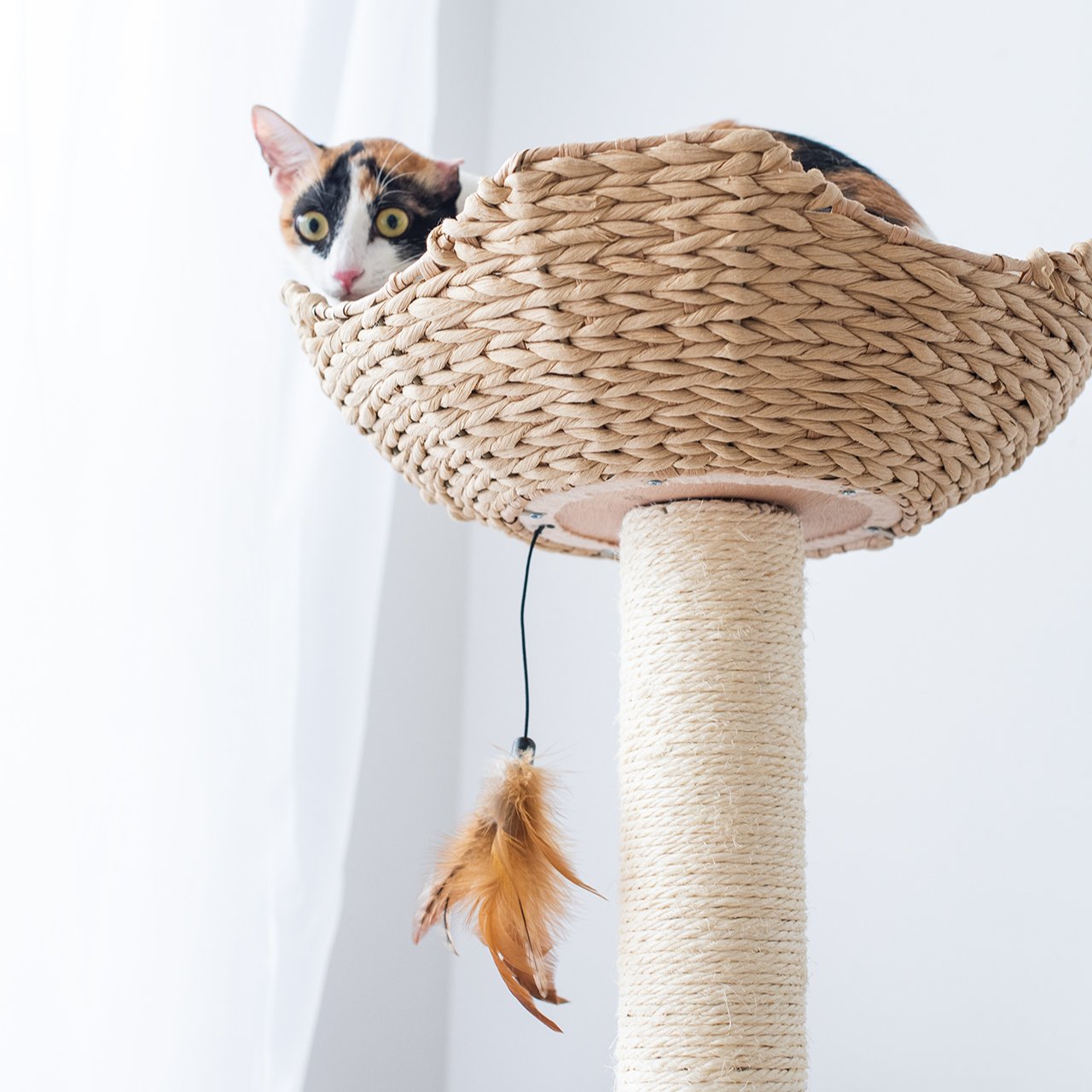 Walk Up Handwoven Cat Tree and Scratcher for Indoor Cats