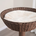 Load image into Gallery viewer, Pharaoh Large Cat Tree and Scratcher for Indoor Cats
