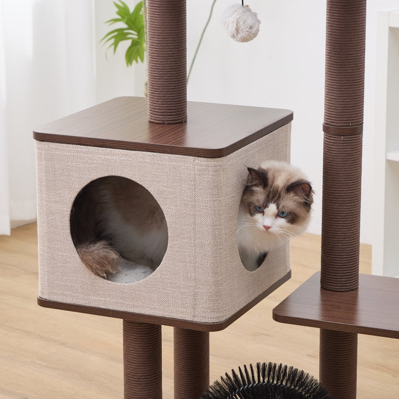 Elevate 2 Modern Cat Tree and Scratcher for Indoor Cats