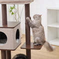 Load image into Gallery viewer, Elevate 2 Modern Cat Tree and Scratcher for Indoor Cats
