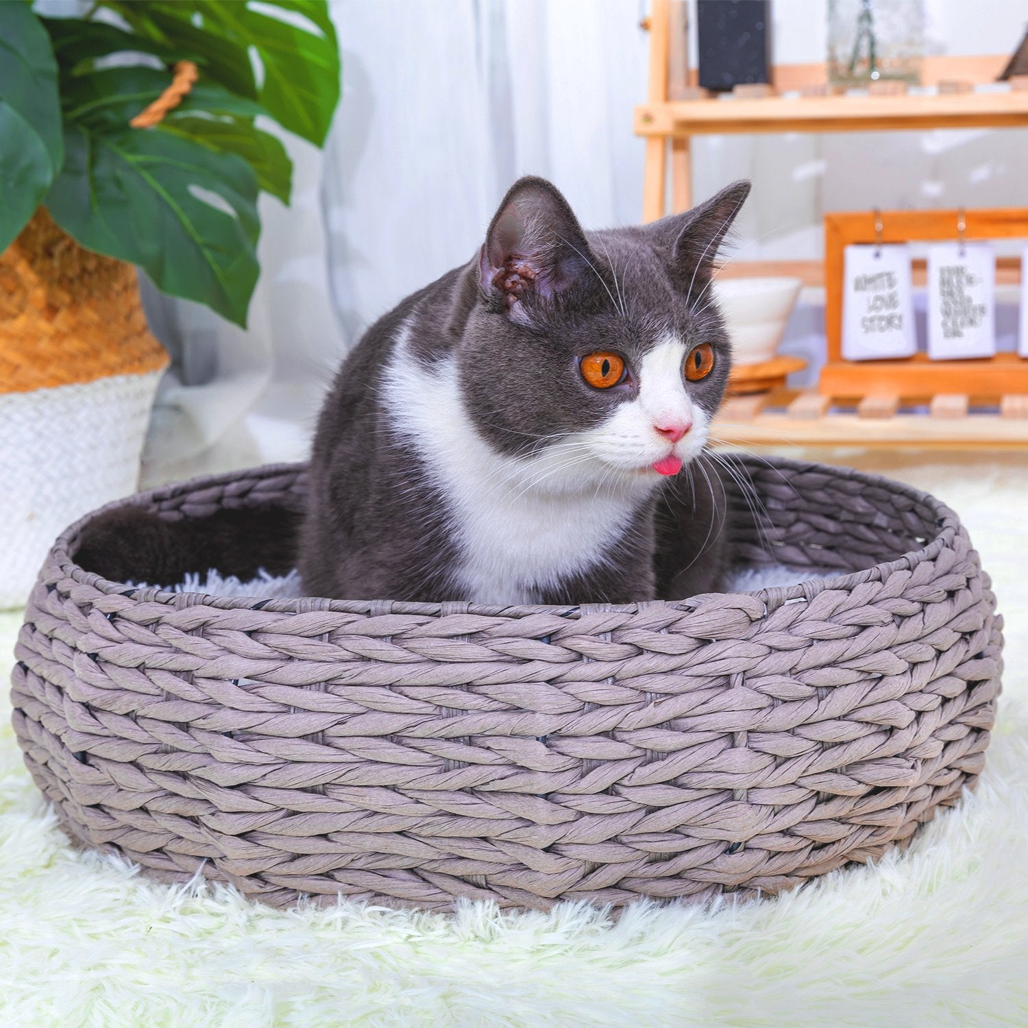 Buttercup Handwoven Luxury Cat Bed for Indoor Cats