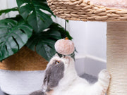 Lookout Natural Handwoven Cat Tree