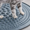 Load image into Gallery viewer, Air Bubble Cat Paw Cleaner and Litter Trap
