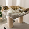Load image into Gallery viewer, Ontario Extra Large Cat Tree and Scratcher for Indoor Cats
