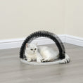 Load image into Gallery viewer, Nifty Cat Scratcher Toy for Indoor Cats
