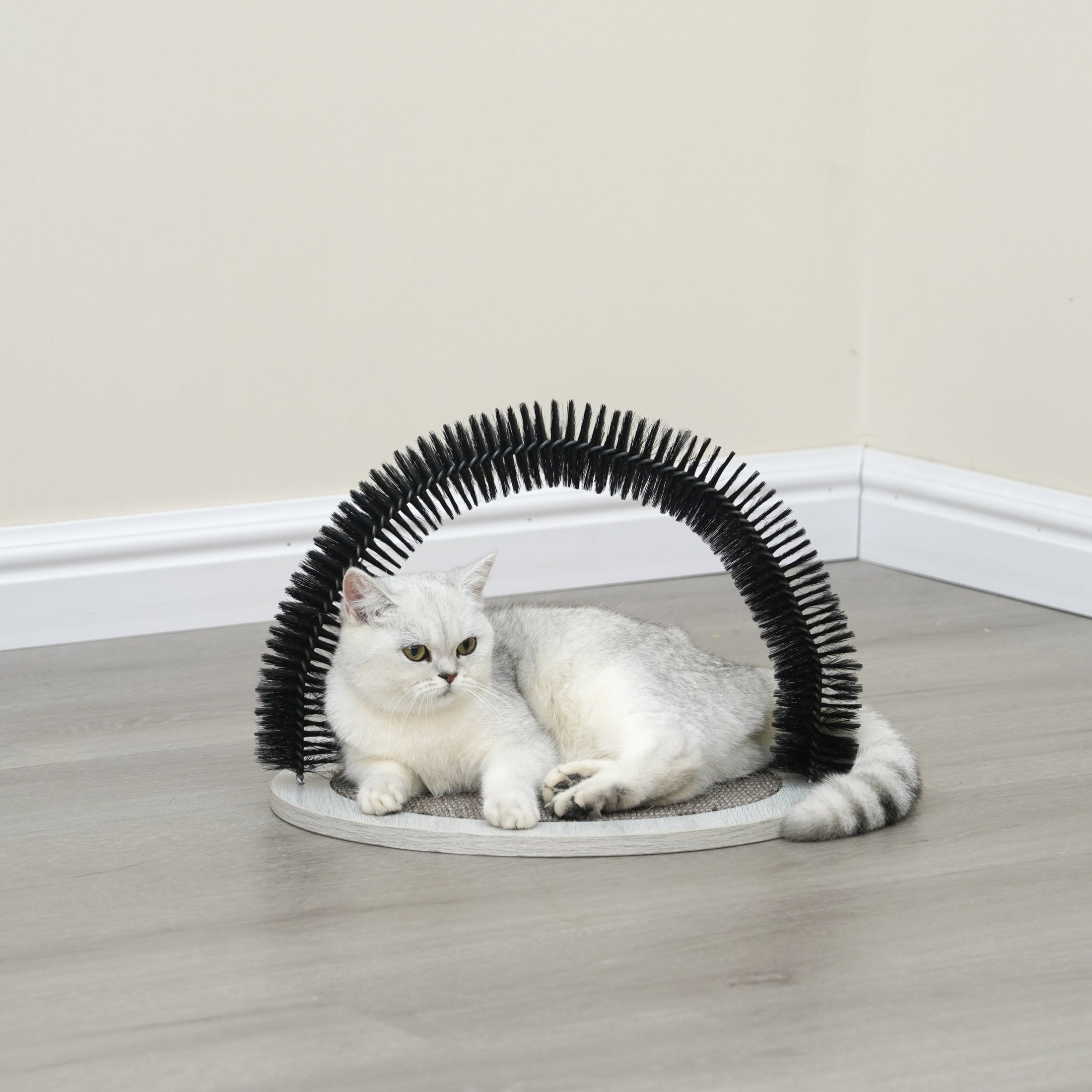 Nifty Cat Scratcher Toy for Indoor Cats