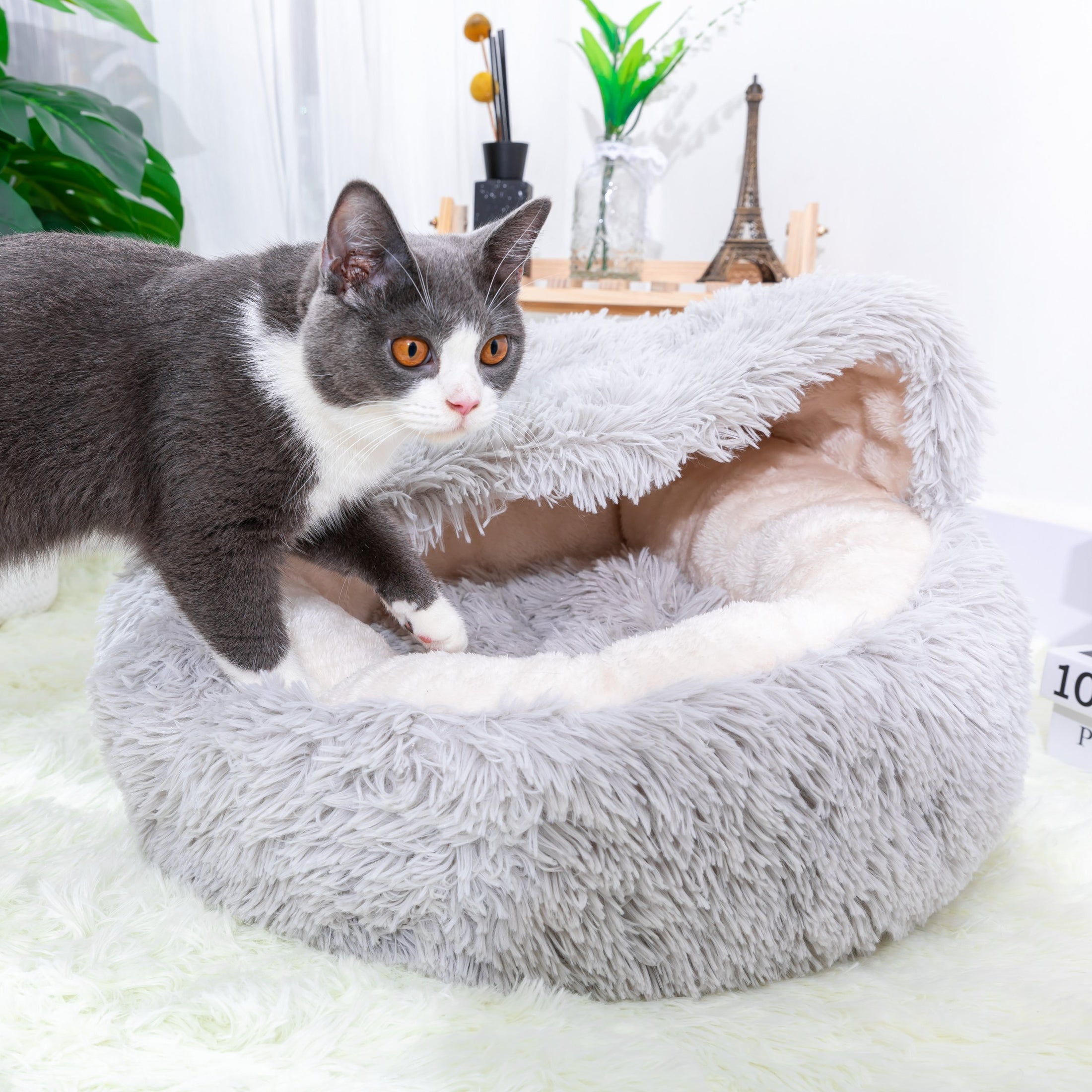 Igloo Enclosed Cat Cave Bed for Indoor Cats