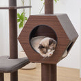 Load image into Gallery viewer, Wagon 2 Modern Cat Tree and Scratcher for Indoor Cats
