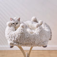 Load image into Gallery viewer, Rose Crown Cozy Luxury Plush Cat Bed for Indoor Cats
