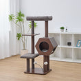 Load image into Gallery viewer, Wagon 2 Modern Cat Tree and Scratcher for Indoor Cats

