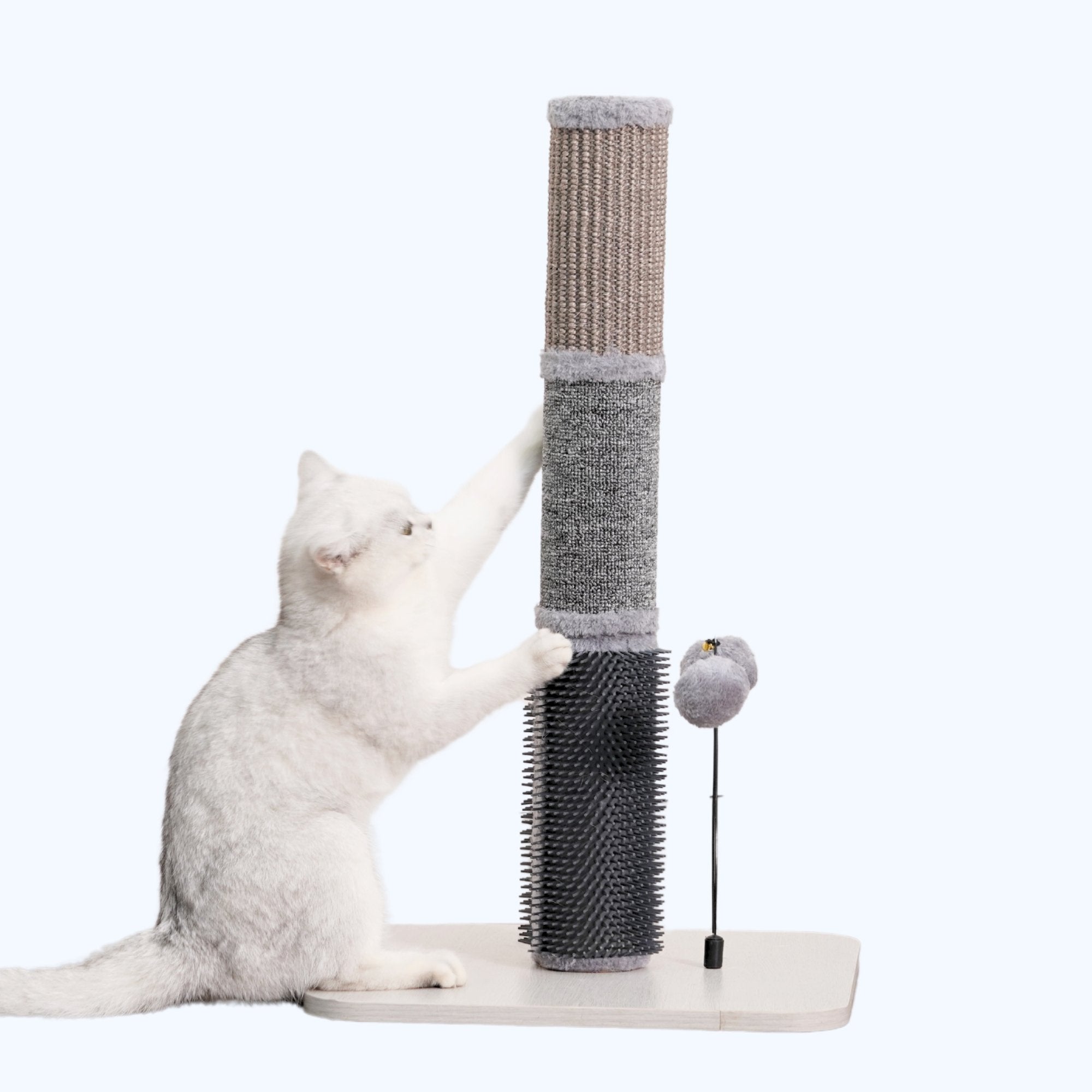 Urbane Multi Activity Cat Scratcher Toy for Indoor Cats