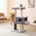Load image into Gallery viewer, Lulu Extra Large Cat Tree and Scratcher for Indoor Cats
