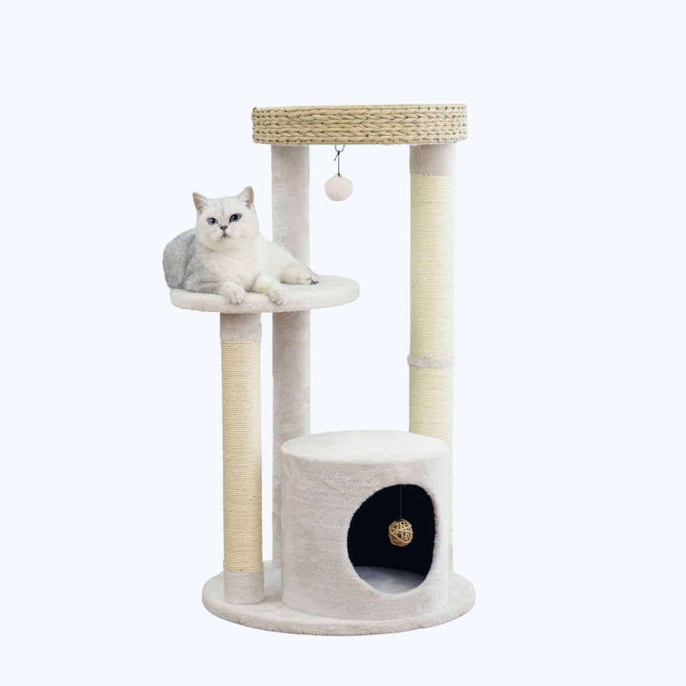 Winnipeg Modern Cat Tree and Scratcher for Indoor Cats