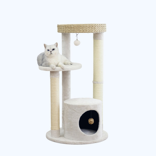 Winnipeg Modern Cat Tree and Scratcher for Indoor Cats