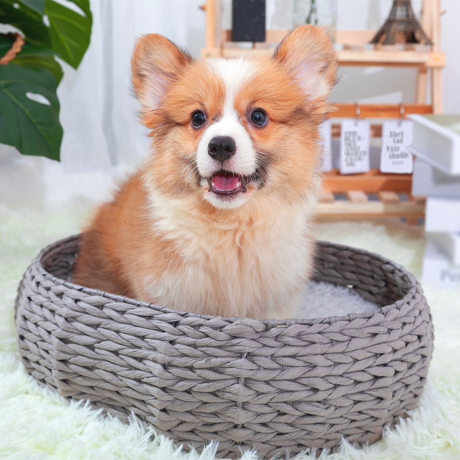 Buttercup Handwoven Luxury Cat Bed for Indoor Cats