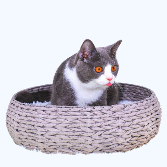 Buttercup Handwoven Luxury Cat Bed for Indoor Cats