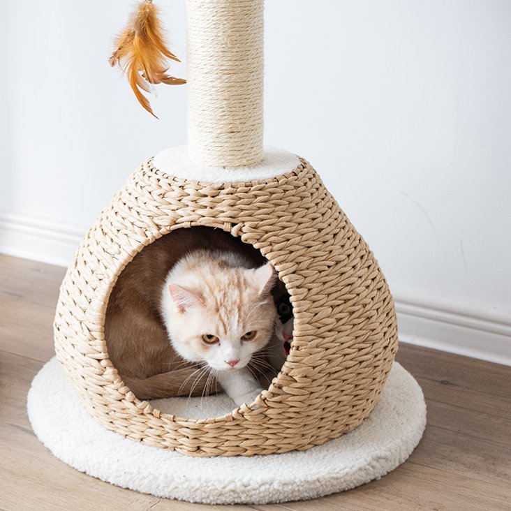 Walk Up Handwoven Cat Tree and Scratcher for Indoor Cats