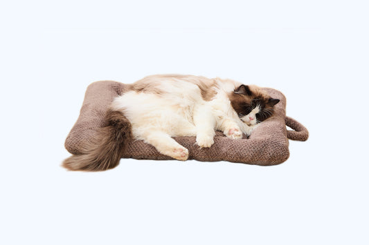 Cozypaws Insulated Warming Pet Mat for Cats and Dogs