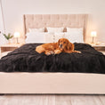 Load image into Gallery viewer, PupProtector™ Short Fur Waterproof Throw Blanket - Midnight Black

