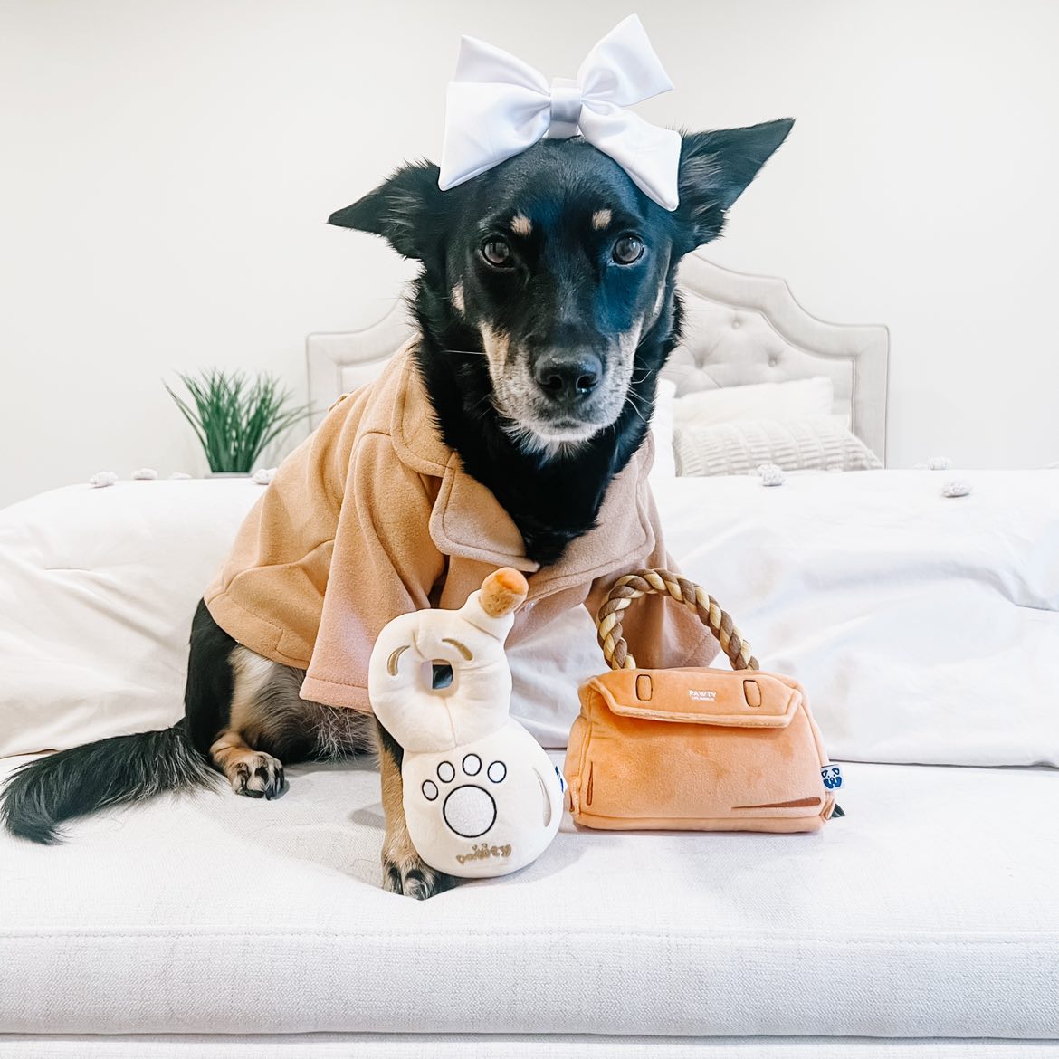 BARKIN BAG - Southlake Paws