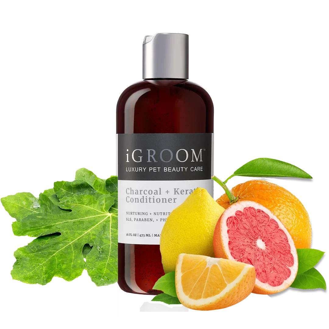 Pet Charcoal and Keratin Shampoo 16oz by iGroom