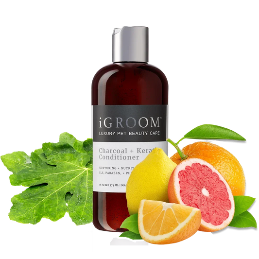 Pet Charcoal and Keratin Shampoo 16oz by iGroom