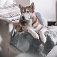 Load image into Gallery viewer, PupProtector™ Short Fur Waterproof Throw Blanket - Charcoal Grey

