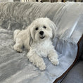 Load image into Gallery viewer, PupProtector™ Short Fur Waterproof Throw Blanket - Grey
