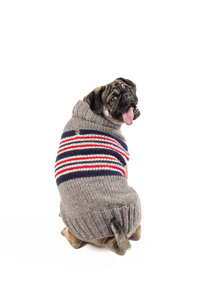Charlie Alpaca Dog Sweater
