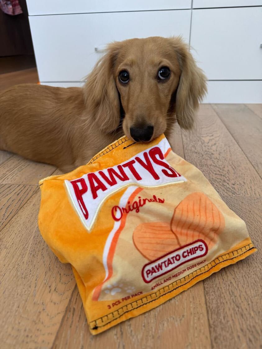 PAWTATO CHIPS INTERACTIVE DOG TOY - Southlake Paws