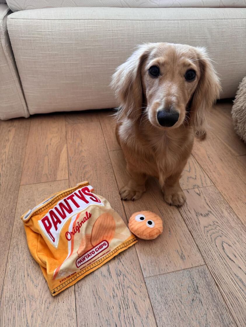 PAWTATO CHIPS INTERACTIVE DOG TOY - Southlake Paws