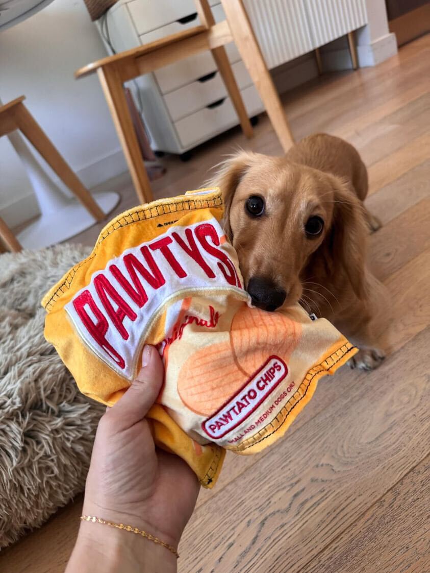 PAWTATO CHIPS INTERACTIVE DOG TOY - Southlake Paws