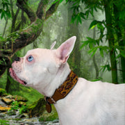 Cheetah Sambboho dog collar (animal print collection)