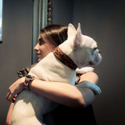 Cheetah Sambboho dog collar (animal print collection)