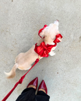 Load image into Gallery viewer, Wander! Bow Harness 2.0 - Cherry
