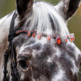 Load image into Gallery viewer, Scarlet Red Browband by Southlake Paws featuring sparkling red gemstones on a black leather strap, worn by a horse.
