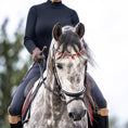 Load image into Gallery viewer, Scarlet Red Browband by Southlake Paws, featuring red accents, worn by a gray horse with a rider in a black top.
