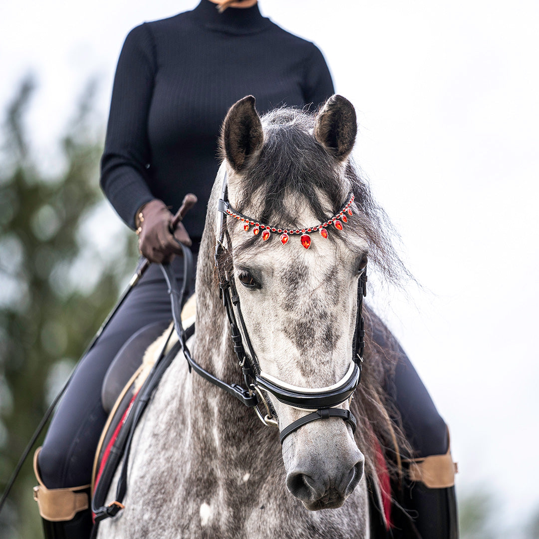 Scarlet Red Browband by Southlake Paws, featuring red accents, worn by a gray horse with a rider in a black top.