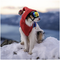 Load image into Gallery viewer, Vintage Ski Hoodie Dog Sweater
