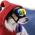 Load image into Gallery viewer, Vintage Ski Hoodie Dog Sweater
