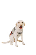 Load image into Gallery viewer, Bunny Patrol Dog Sweater
