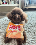 Load image into Gallery viewer, PAWTATO CHIPS INTERACTIVE DOG TOY - Southlake Paws

