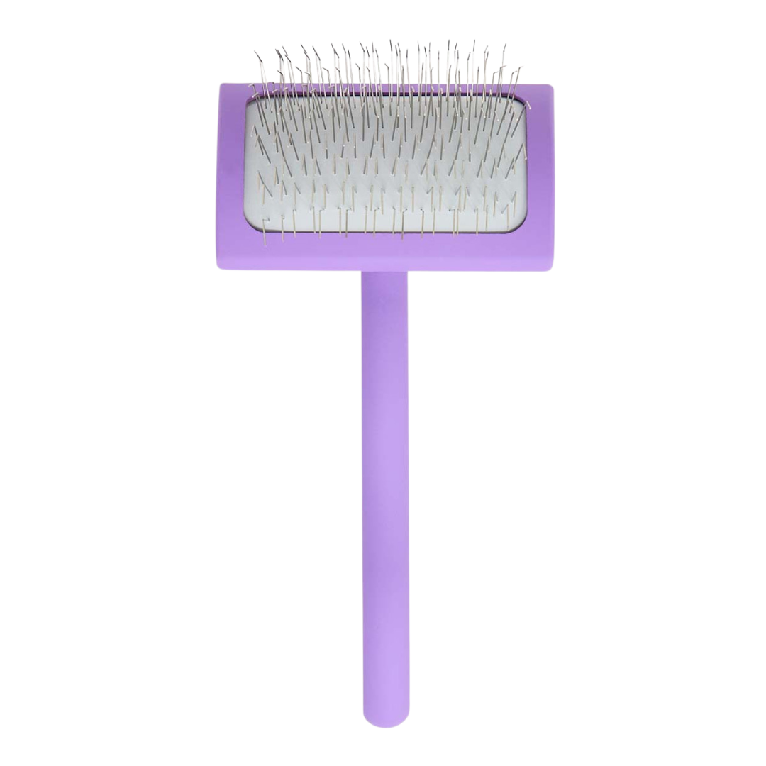 Big A Slicker Brush Medium/Purple by Chris Christensen