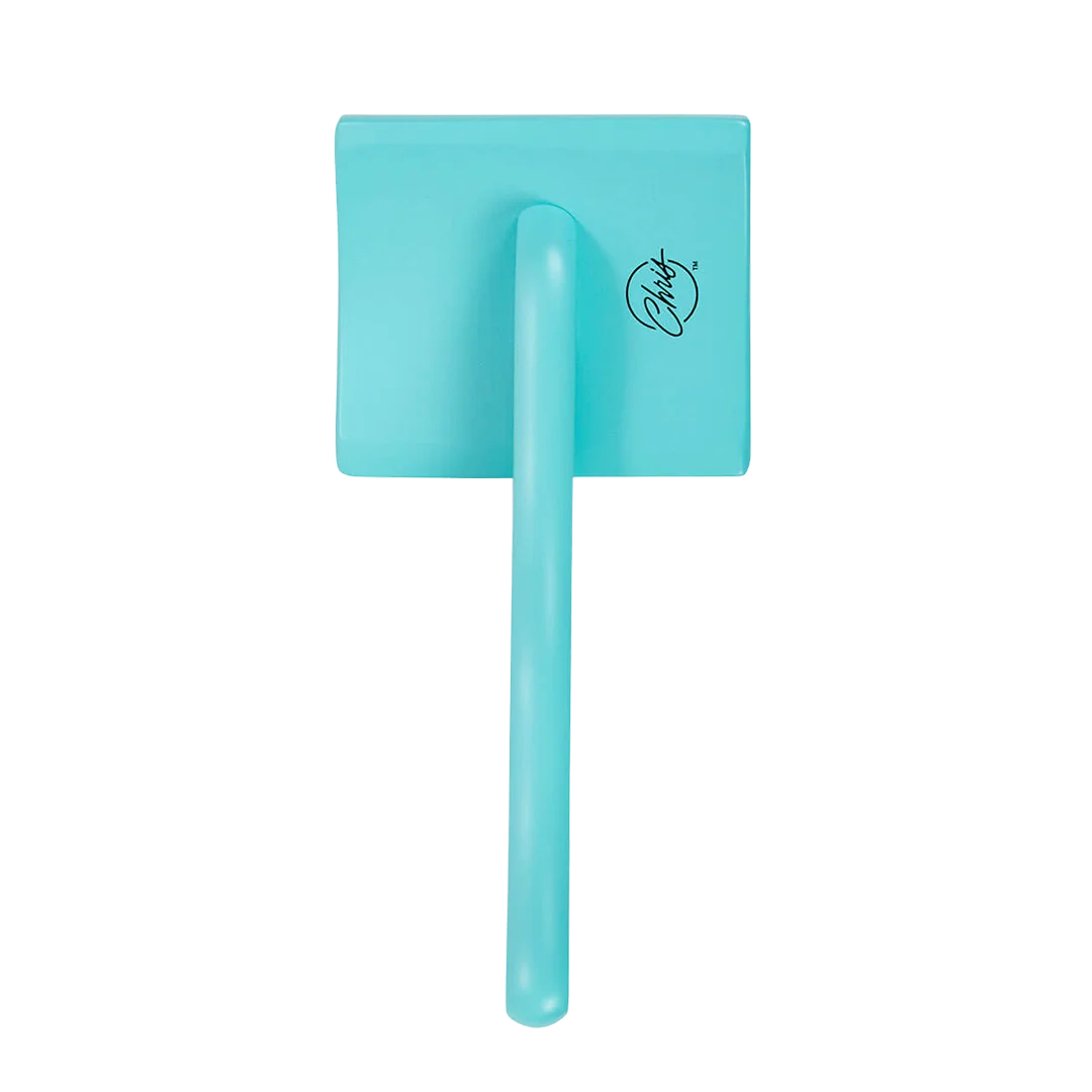 Dog Large Home Care Big Brush G Teal Slicker by Chris Christensen